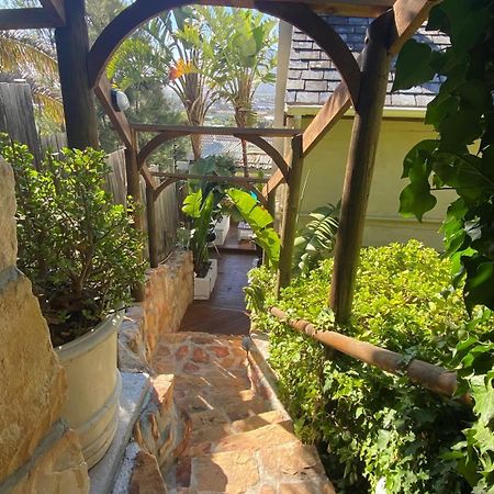 African Violet Guest Suites Noordhoek Exterior photo