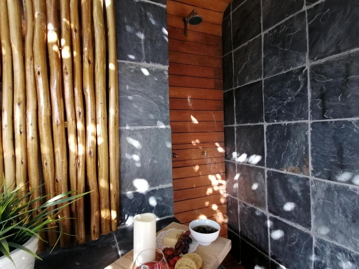African Violet Guest Suites Noordhoek Exterior photo