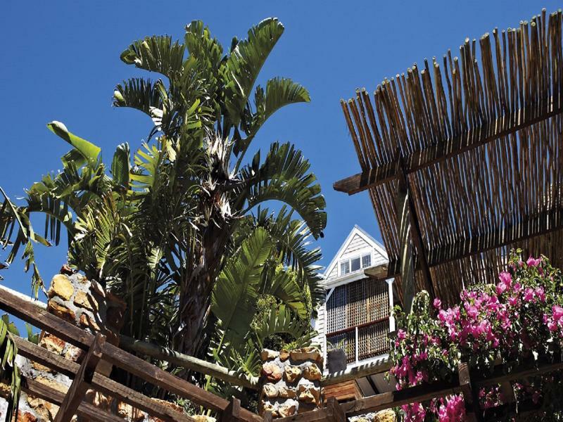 African Violet Guest Suites Noordhoek Exterior photo