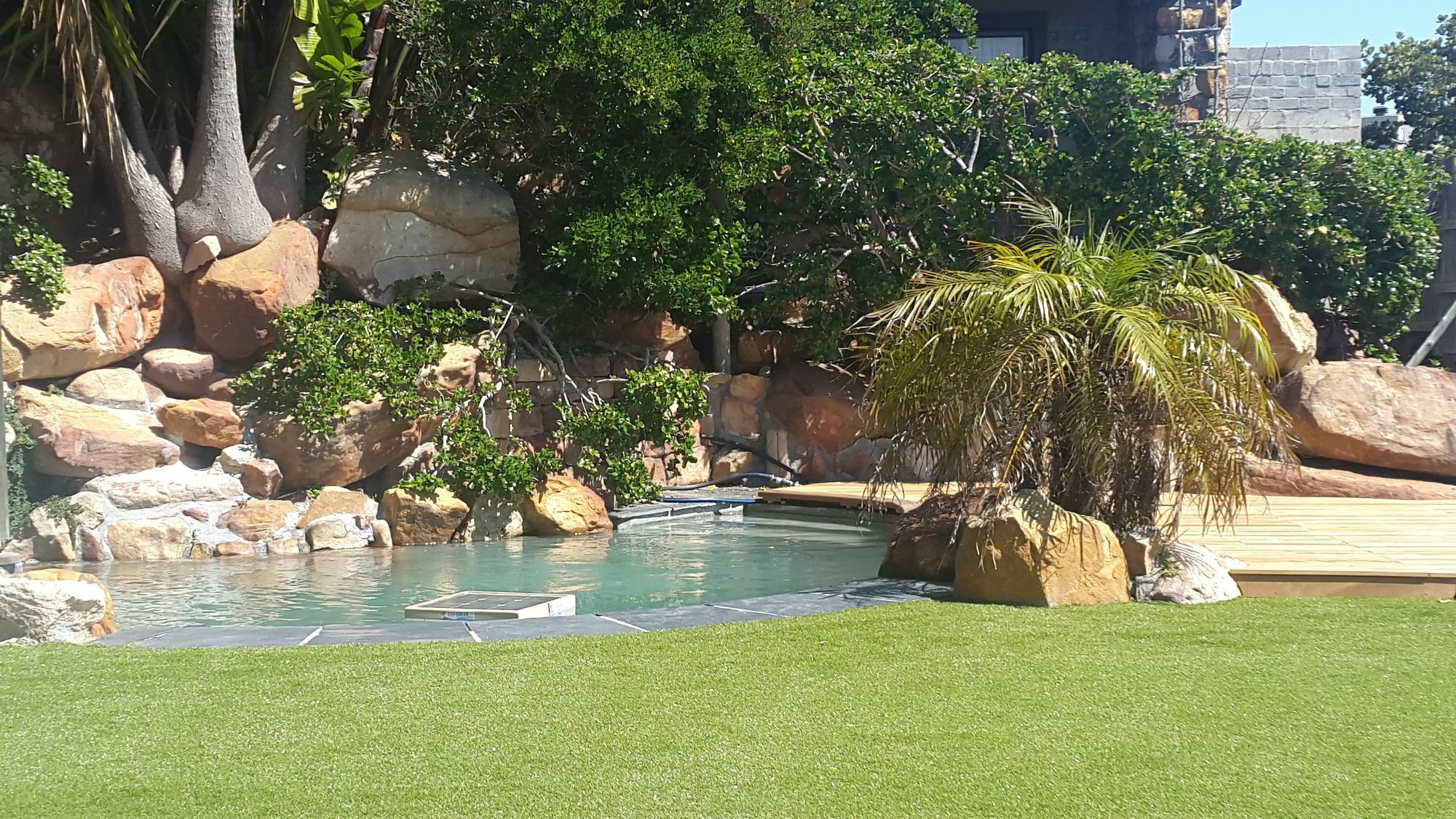 African Violet Guest Suites Noordhoek Exterior photo