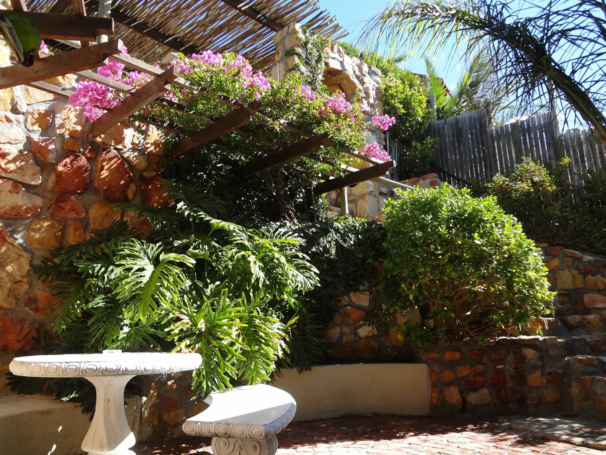 African Violet Guest Suites Noordhoek Exterior photo