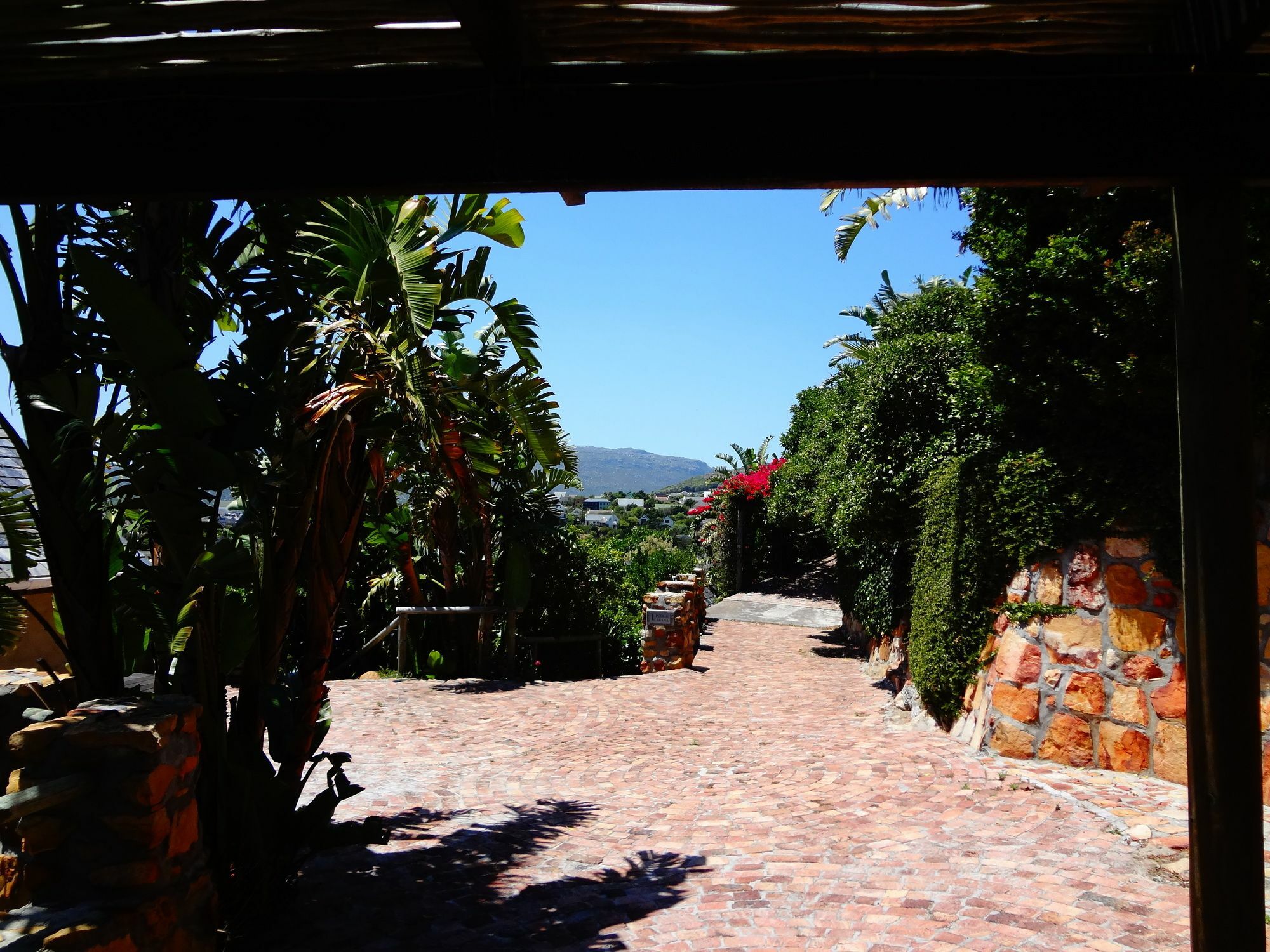 African Violet Guest Suites Noordhoek Exterior photo