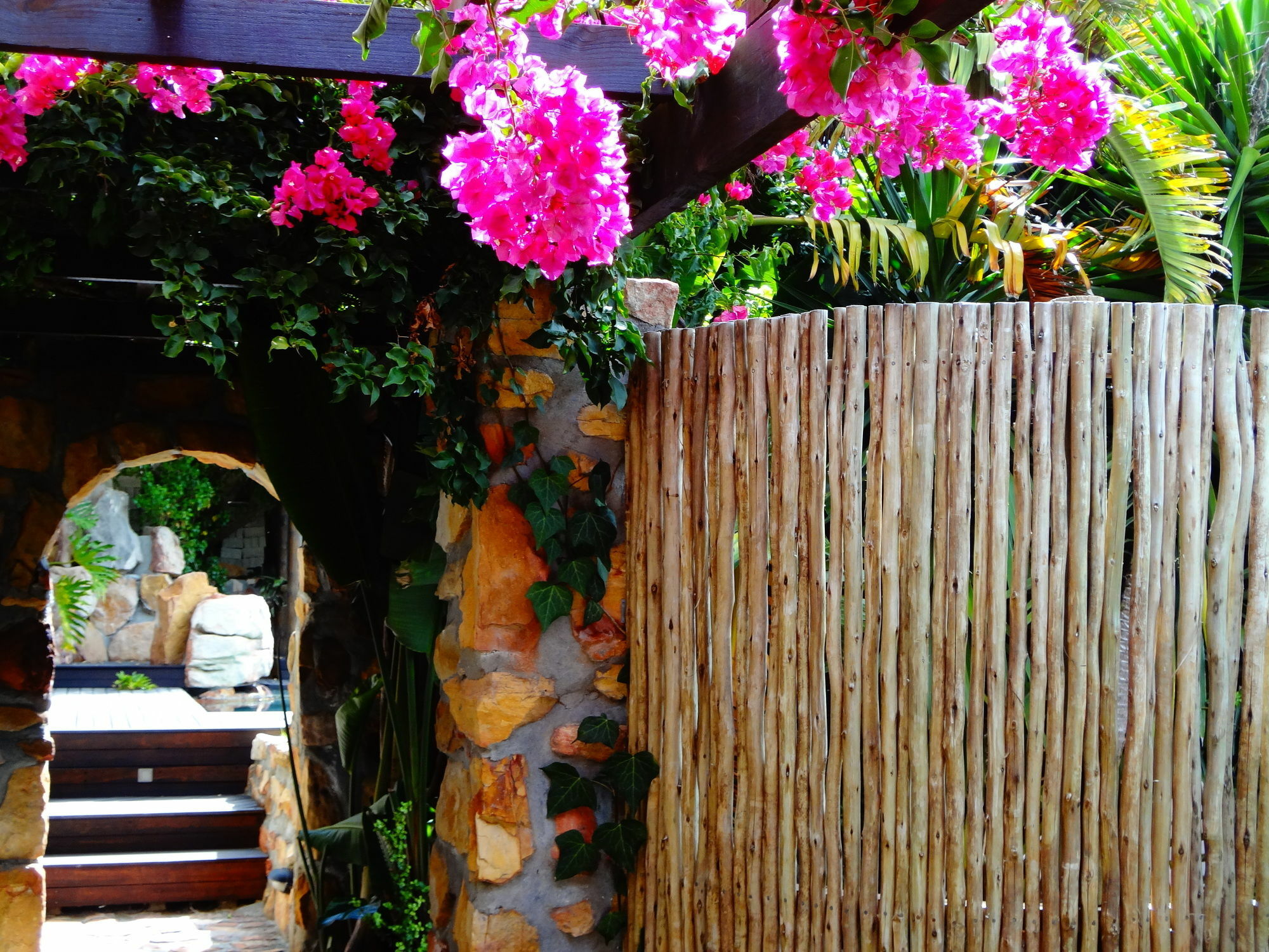 African Violet Guest Suites Noordhoek Exterior photo